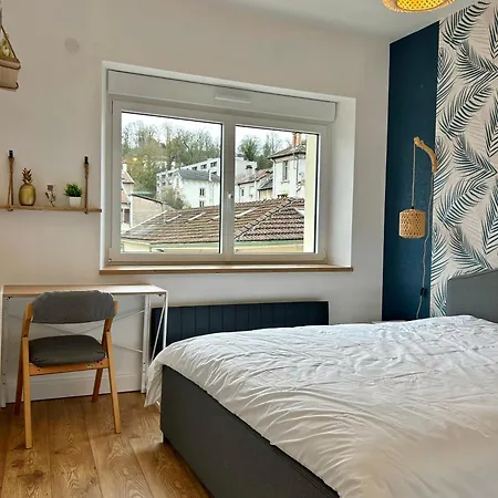 Le Chardon Nancy- 2 Chambres- Parking Gratuit- Proche Transports Et Zenith *